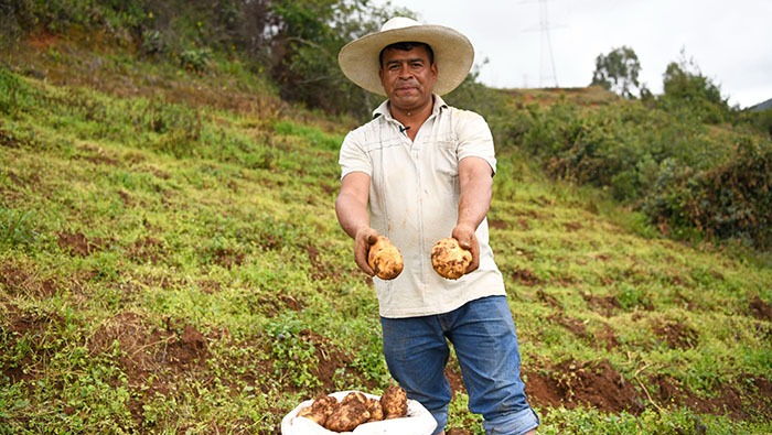 Agro Rural