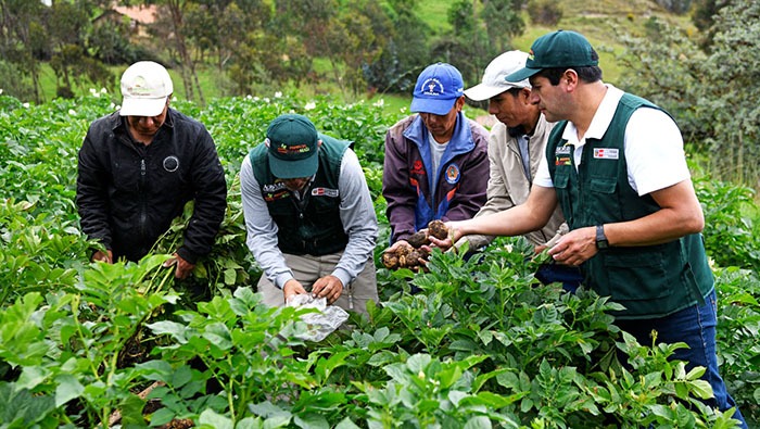 Agro Rural