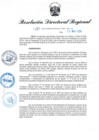 Vista preliminar de documento RDR-183-2024