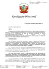 Vista preliminar de documento RD N° 030-2024