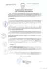 Vista preliminar de documento rd14