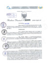 Vista preliminar de documento Resolución Directoral. N° 0905 - 2024 