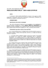 Vista preliminar de documento RD Nº D000114-2023-DE