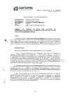 Vista preliminar de documento Resolución N° 107-2023-XOFOPRI/TAP