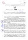 Vista preliminar de documento Resolución Directoral. N° 0890 - 2024 