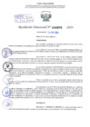 Vista preliminar de documento Resolución Directoral. N° 0976 - 2024 