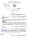Vista preliminar de documento Resolución Directoral. N° 0973 - 2024