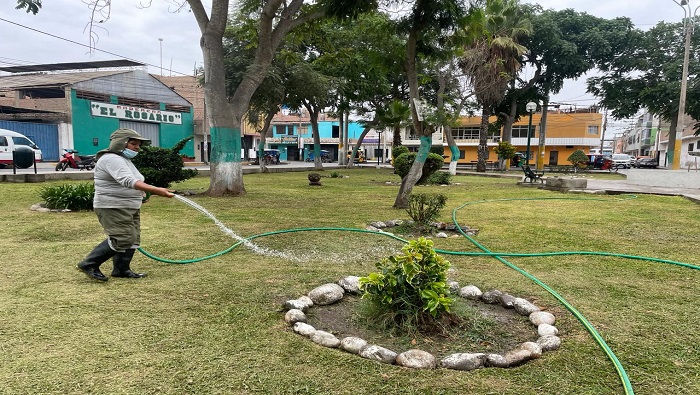 desarrollΓ³ labores de mantenimiento de Γ‘reas verdes