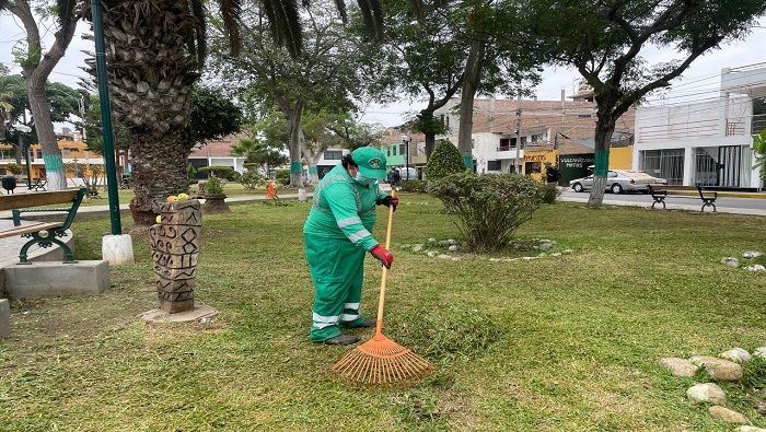 desarrolló labores de mantenimiento de áreas verdes