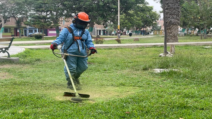 desarrolló labores de mantenimiento de áreas verdes