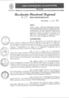 Vista preliminar de documento RDR N°095-2024