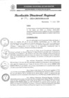 Vista preliminar de documento RDR N°096-2024
