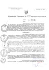 Vista preliminar de documento RD N°0036
