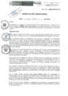 Vista preliminar de documento R.D.N.013-2024-INSN-DG