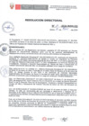 Vista preliminar de documento R.D.N.019-2024-INSN-DG