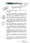 Vista preliminar de documento R.D.N.028-2024-INSN-DG