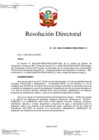 Vista preliminar de documento RD N° 041-2024