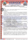 Vista preliminar de documento RG_33_2024