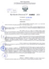 Vista preliminar de documento Resolución Directoral. N° 0953 - 2024 