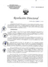 Vista preliminar de documento RD_041 2024 DG_0001