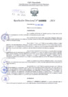 Vista preliminar de documento Resolución Directoral. N° 0969 - 2024 