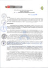 Vista preliminar de documento 038-2024-GOB.REG.AMAZONAS-HA-GLL-B-D.E.pdf.pdf.pdf.pdf.pdf.pdf.pdf