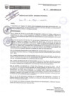 Vista preliminar de documento R.D.N°036-2023-INSN-DG