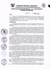 Vista preliminar de documento RESOLUCION EJECUTIVA REGIONAL 132-2024 GRA