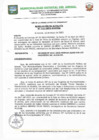 Vista preliminar de documento N°111-2023-MUDIAR