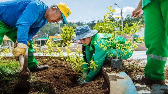 MUNICIPALIDAD DE SAN JERÓNIMO REALIZA LABORES PARA EMBELLECER NUESTROS ESPACIOS PÚBLICOS.