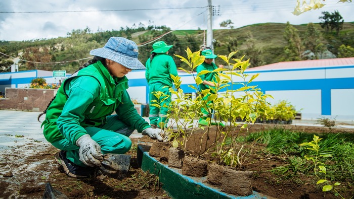 MUNICIPALIDAD DE SAN JERÓNIMO REALIZA LABORES PARA EMBELLECER NUESTROS ESPACIOS PÚBLICOS.