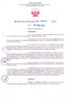 Vista preliminar de documento RD Nº000695 01-03-202306092023114319