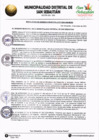 Vista preliminar de documento RGM-037-2024-MDSS