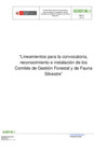 Vista preliminar de documento Lineamientos de CGFFS
