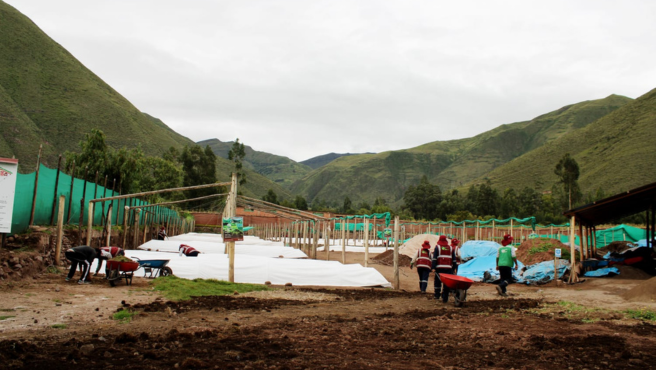 Consejeros Regionales Representantes por la Provincia de Canchis desarrollan Mesa técnica para garantizar Seguridad Alimentaria e Incrementar Agua