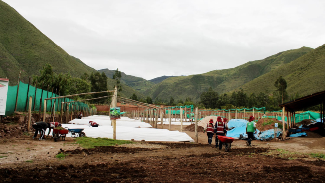 
Consejeros Regionales Representantes por la Provincia de Canchis desarrollan Mesa técnica para garantizar Seguridad Alimentaria e Incrementar Agua

