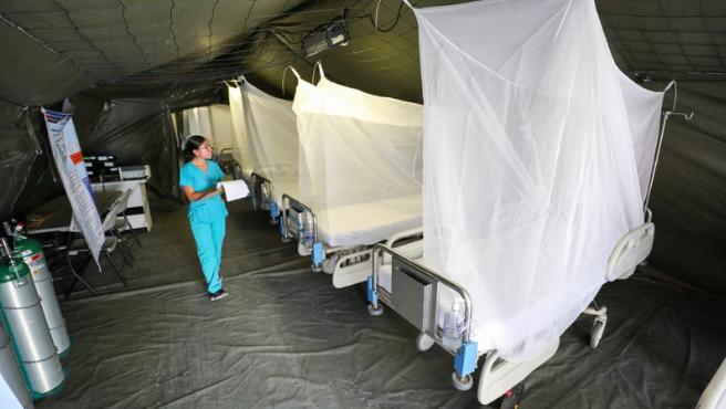 Piura: se descarta desborde de los servicios de salud por dengue