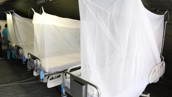Piura: se descarta desborde de los servicios de salud por dengue