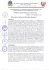 Vista preliminar de documento AC-006-2024-MDP-CMP