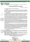 Vista preliminar de documento RA24N077