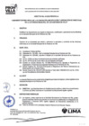 Vista preliminar de documento Directiva N° 02-2024-PROHVILLA