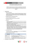 Vista preliminar de documento BASES CAS N° 068-2024-ANIN