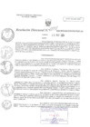 Vista preliminar de documento RD N°0038