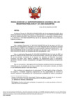 Vista preliminar de documento 02. REGLAMENTO DE ACCESO A LA FUNCIÓN REGISTRAL