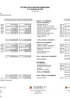 Vista preliminar de documento Estado de situación financiera (marzo 2023)
