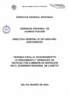 Vista preliminar de documento DirectivaGeneral-001-2024-grl-ggr-gra-oec