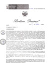 Vista preliminar de documento RD 059 DG 2024