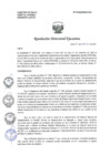 Vista preliminar de documento R.D.E Nº076-2024-OEA-HNAL
