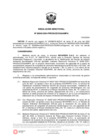 Vista preliminar de documento RD 00040 2024 PRODUCE DGAAMPA