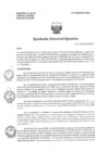 Vista preliminar de documento R.D.E Nº080-2024-OEA-HNAL